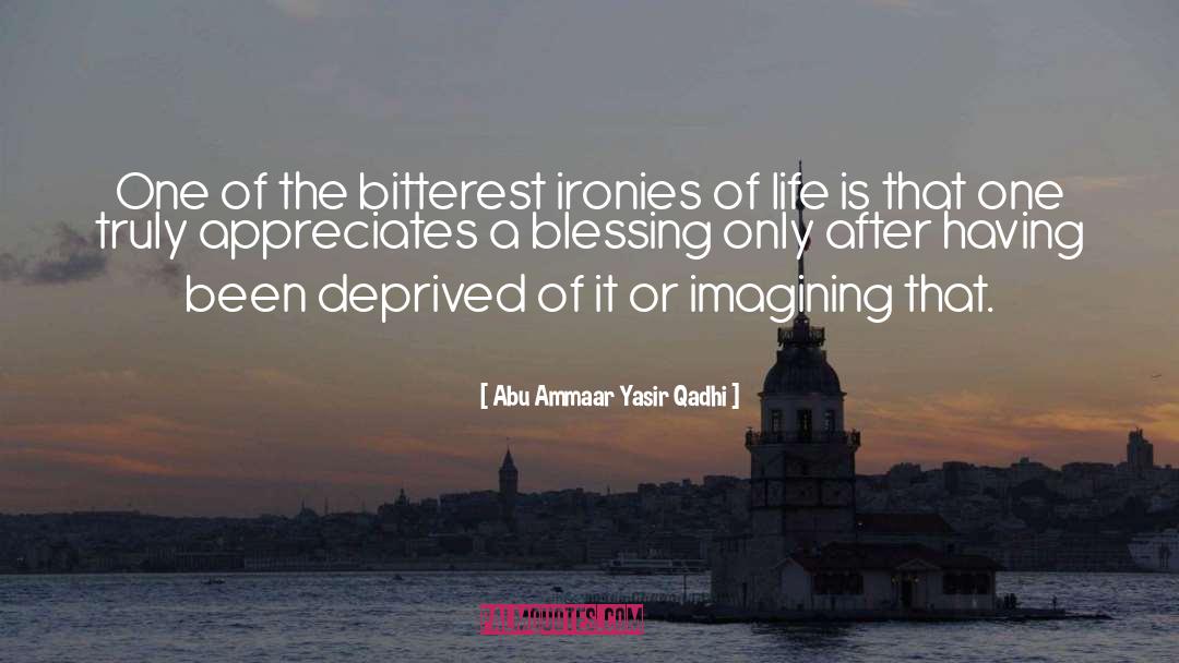 Someone Appreciates It quotes by Abu Ammaar Yasir Qadhi