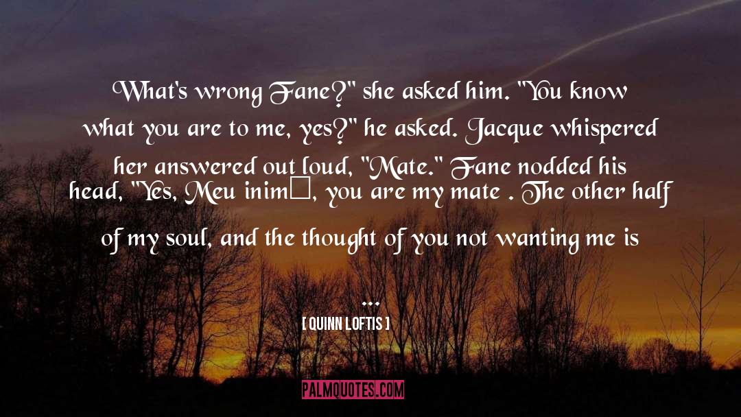 Someone Not Wanting You Around quotes by Quinn Loftis