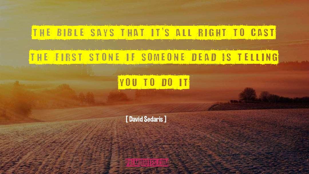 Someone You Hate quotes by David Sedaris