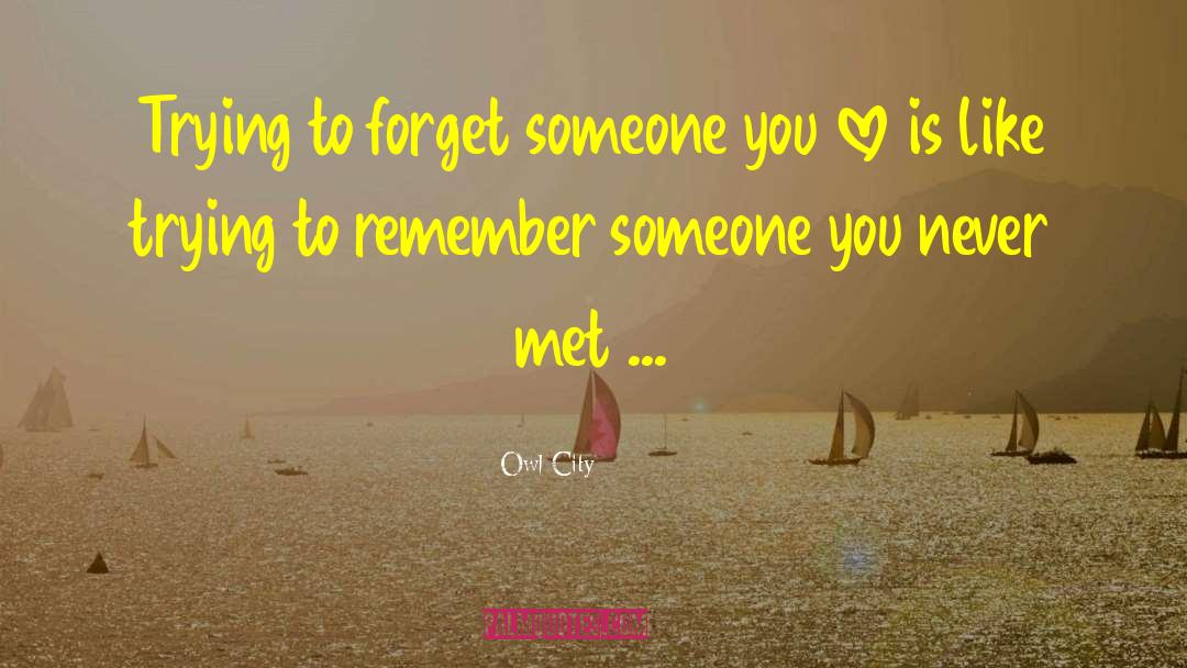Someone You Love quotes by Owl City