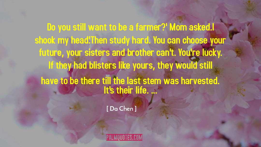 Somerset Mom quotes by Da Chen