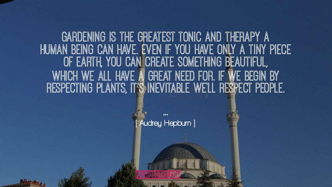 Something Beautiful quotes by Audrey Hepburn