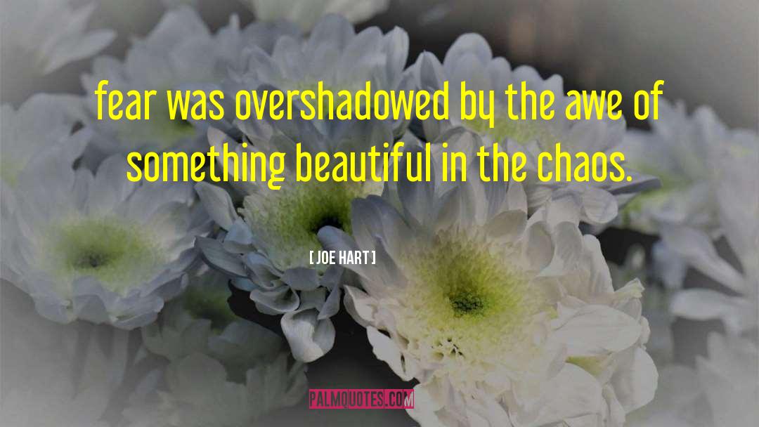 Something Beautiful quotes by Joe Hart