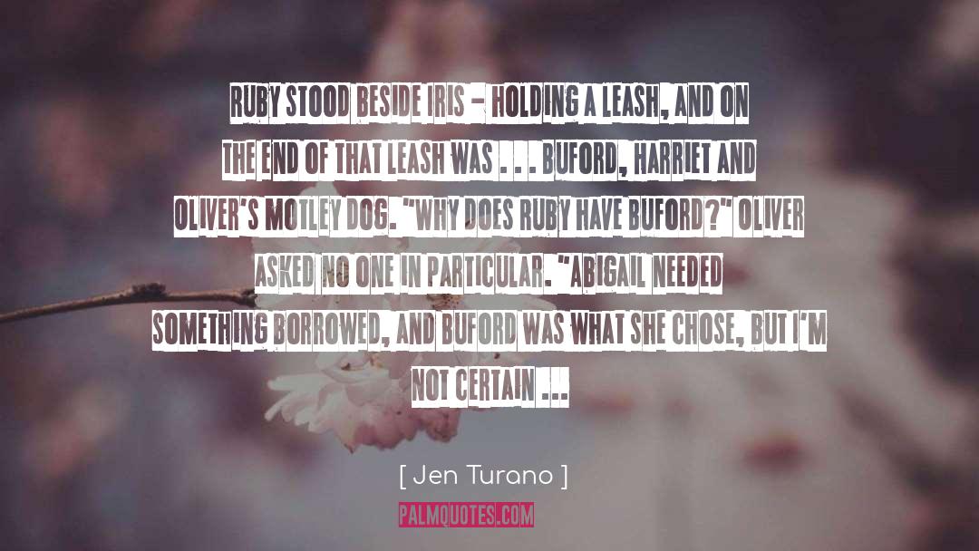 Something Borrowed quotes by Jen Turano