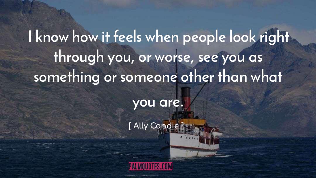 Something Feels Right quotes by Ally Condie