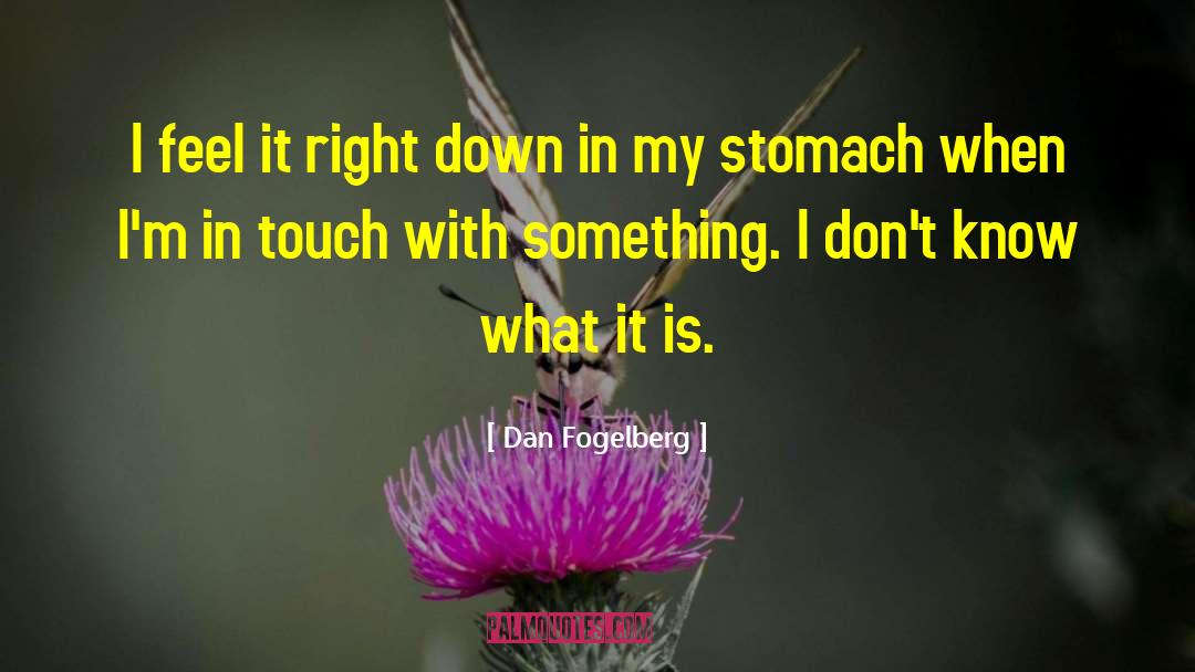 Something Feels Right quotes by Dan Fogelberg