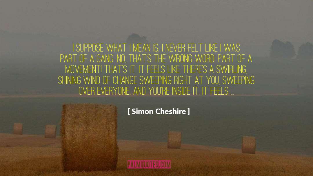 Something Feels Right quotes by Simon Cheshire