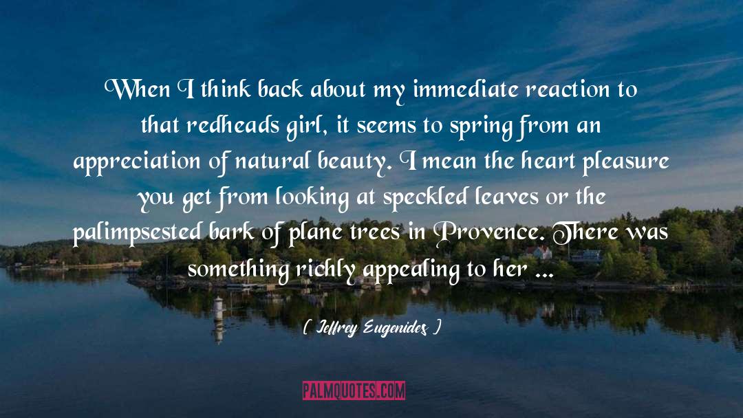 Something From The Heart quotes by Jeffrey Eugenides