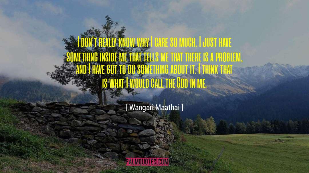 Something Inside Me quotes by Wangari Maathai