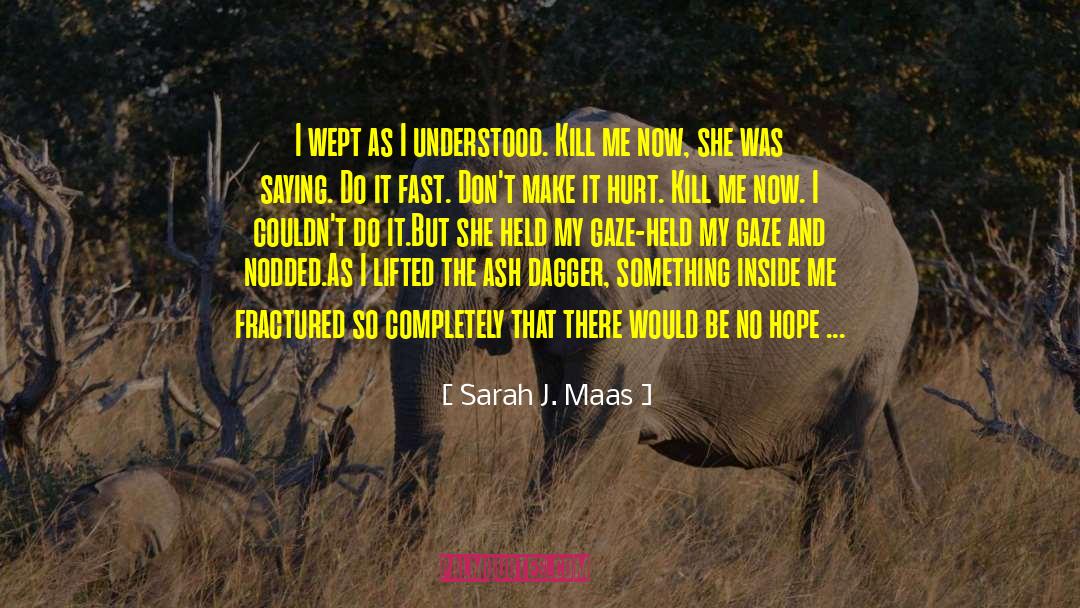 Something Inside Me quotes by Sarah J. Maas