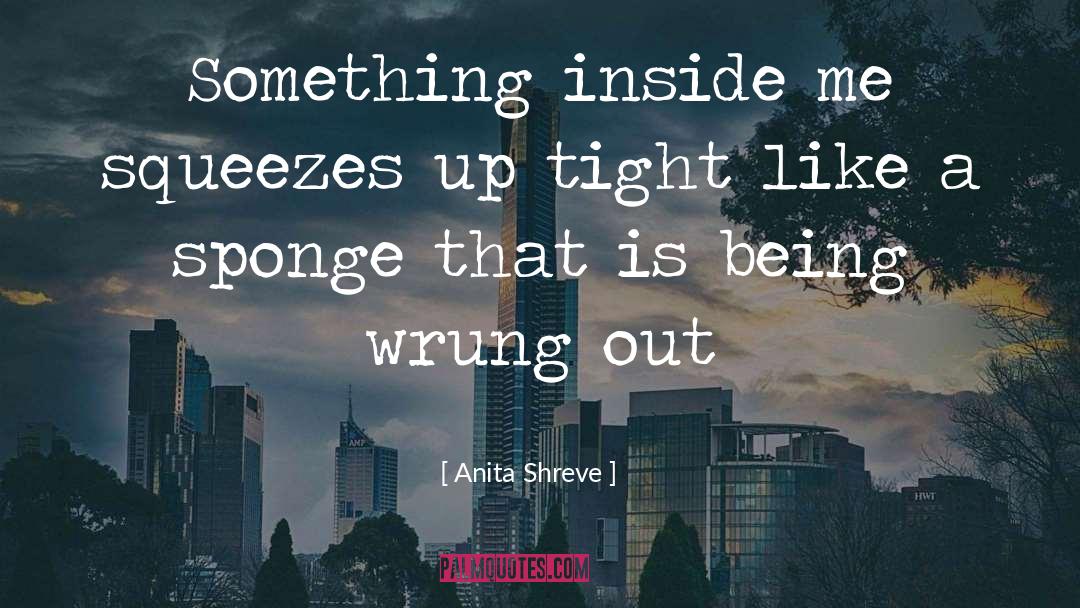 Something Inside Me quotes by Anita Shreve