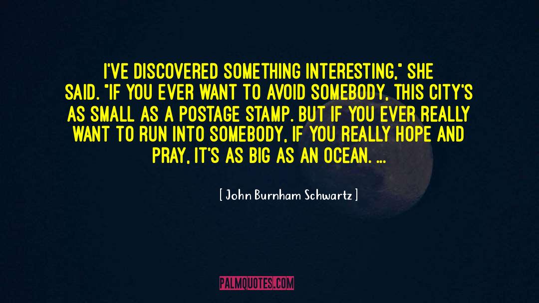 Something Interesting quotes by John Burnham Schwartz