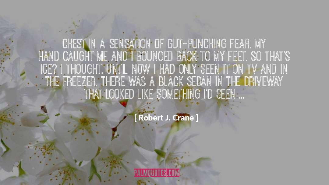 Something Like Summer quotes by Robert J. Crane