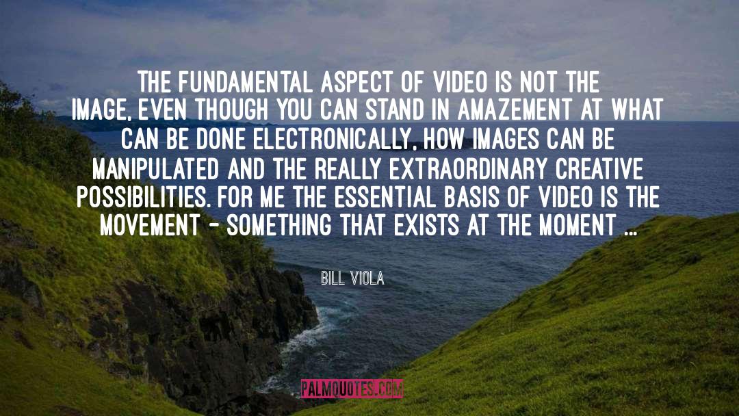 Something Precious quotes by Bill Viola