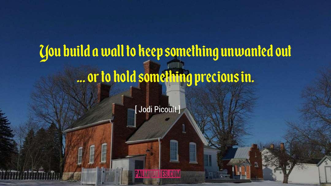 Something Precious quotes by Jodi Picoult