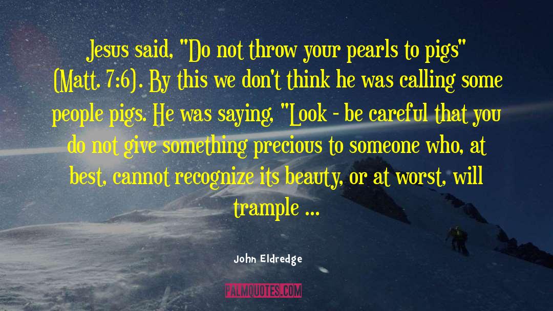 Something Precious quotes by John Eldredge