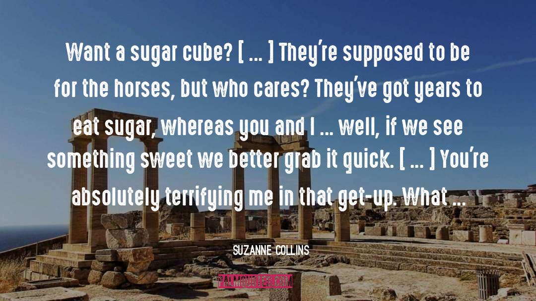 Something Sweet quotes by Suzanne Collins
