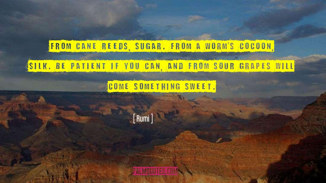 Something Sweet quotes by Rumi