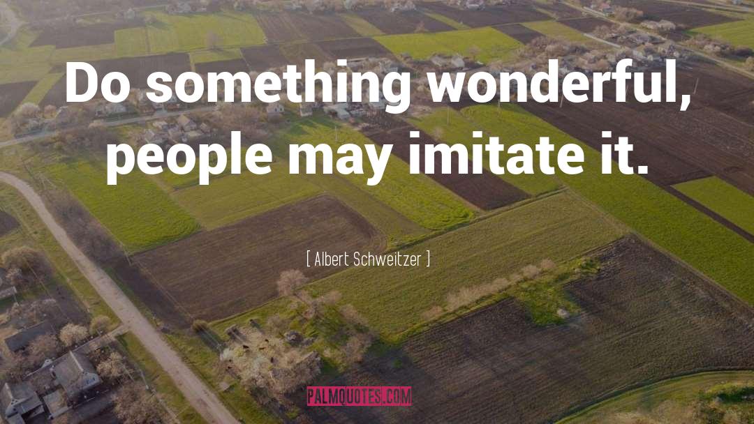 Something Wonderful quotes by Albert Schweitzer