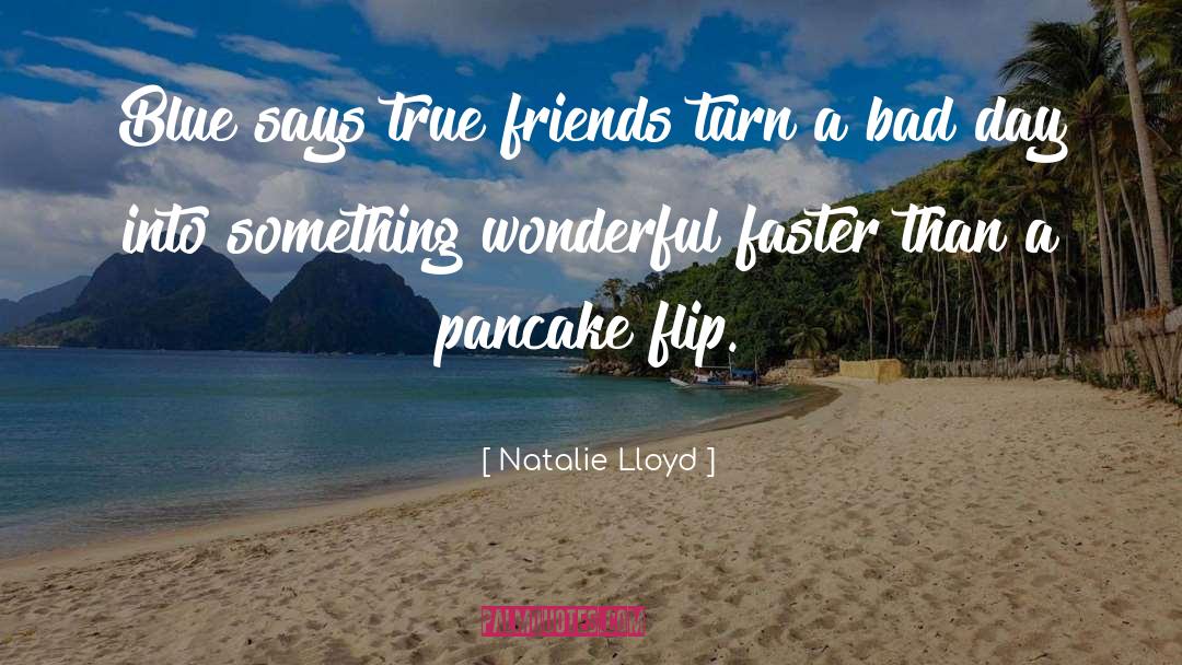 Something Wonderful quotes by Natalie Lloyd