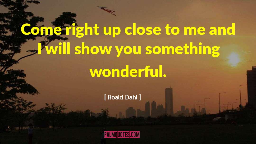 Something Wonderful quotes by Roald Dahl