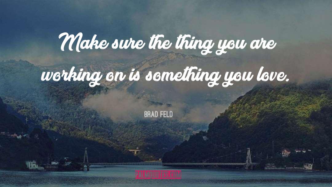 Something You Love quotes by Brad Feld