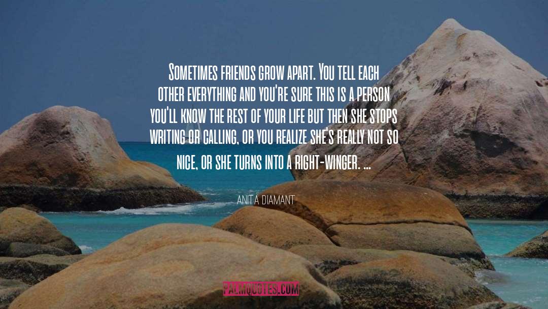 Sometimes Friends quotes by Anita Diamant