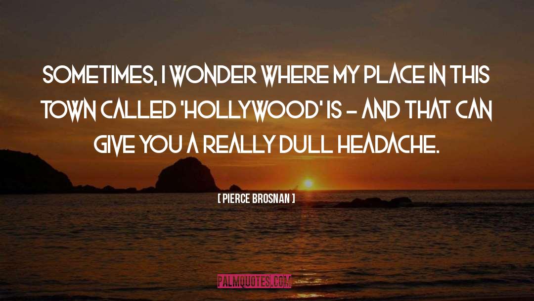 Sometimes I Wonder quotes by Pierce Brosnan