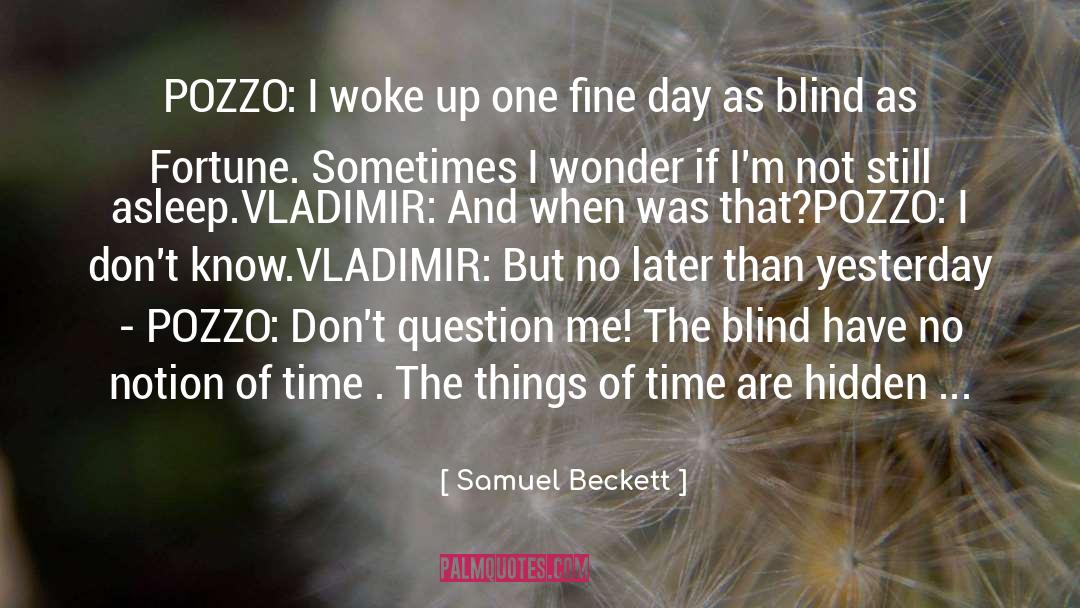Sometimes I Wonder quotes by Samuel Beckett