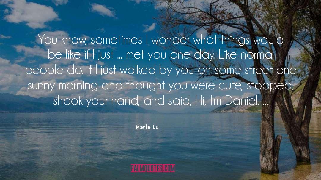 Sometimes I Wonder quotes by Marie Lu