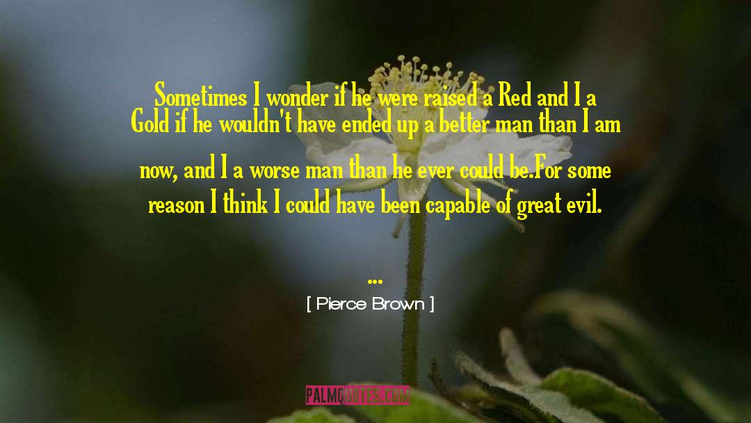 Sometimes I Wonder quotes by Pierce Brown