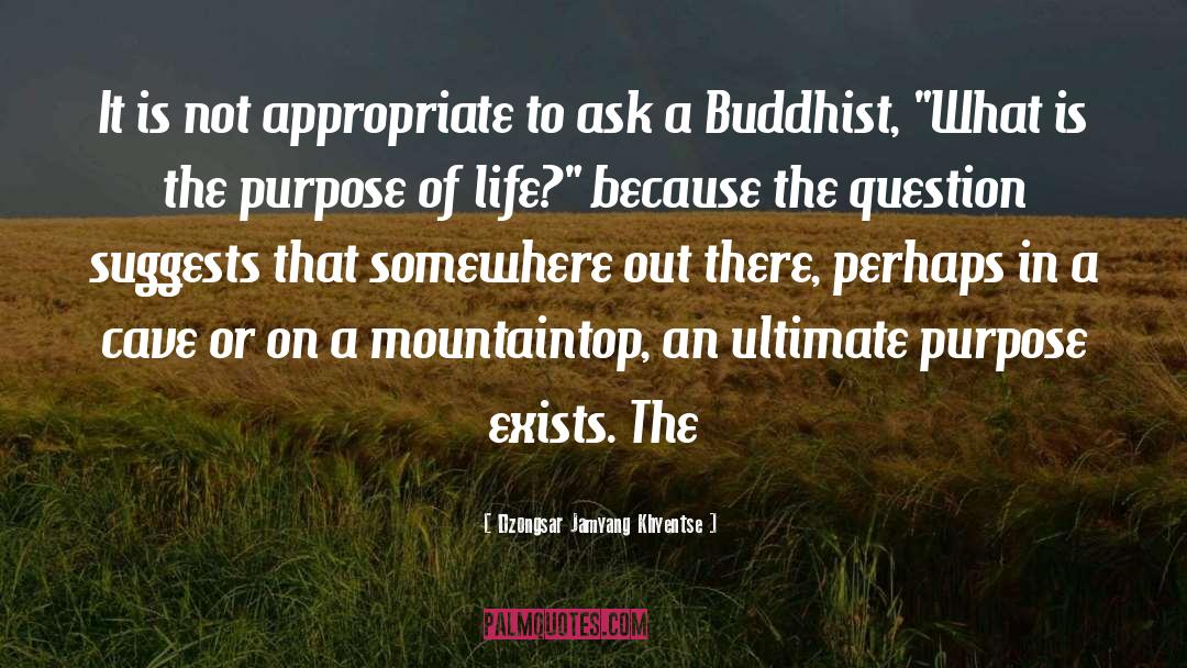 Somewhere Out There quotes by Dzongsar Jamyang Khyentse