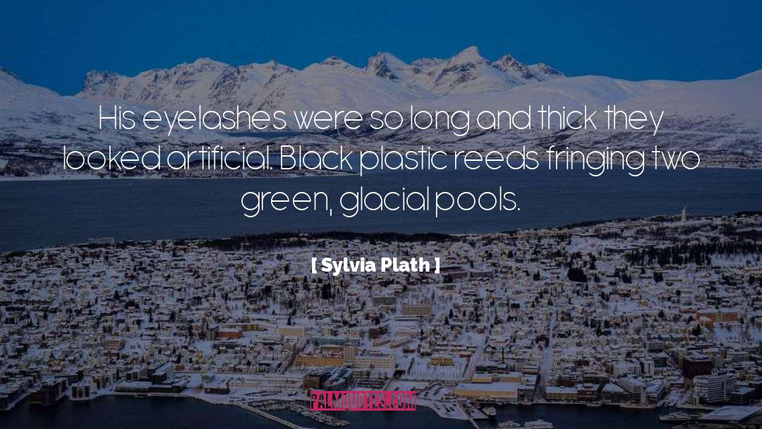 Sondgeroth Pools quotes by Sylvia Plath