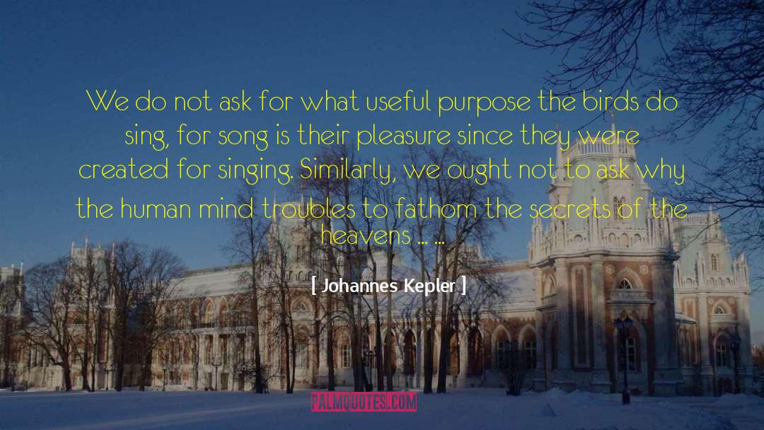 Song Chaser quotes by Johannes Kepler