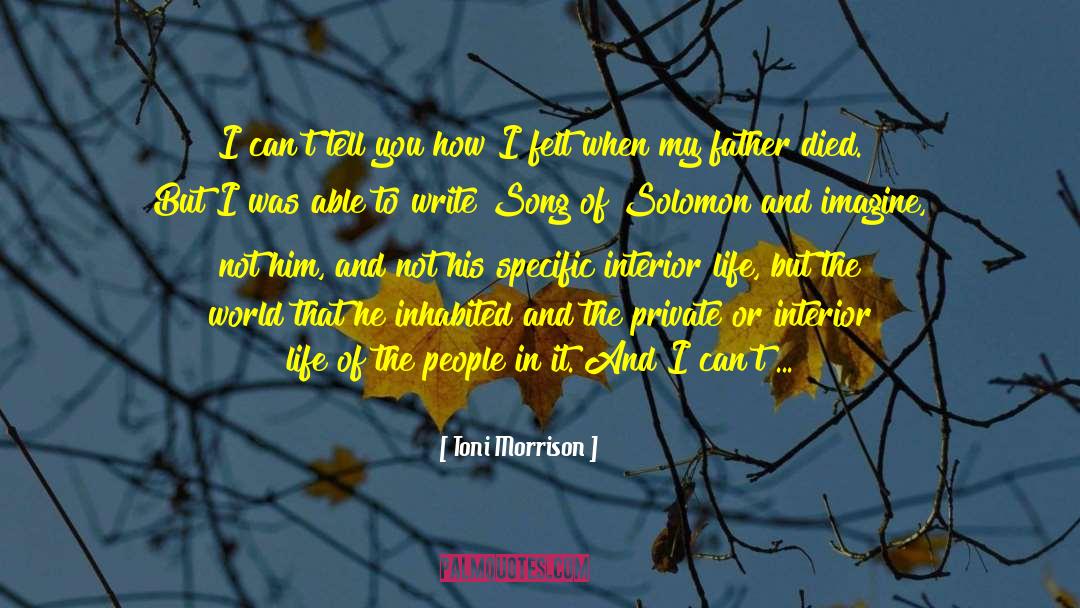 Song Of Solomon quotes by Toni Morrison
