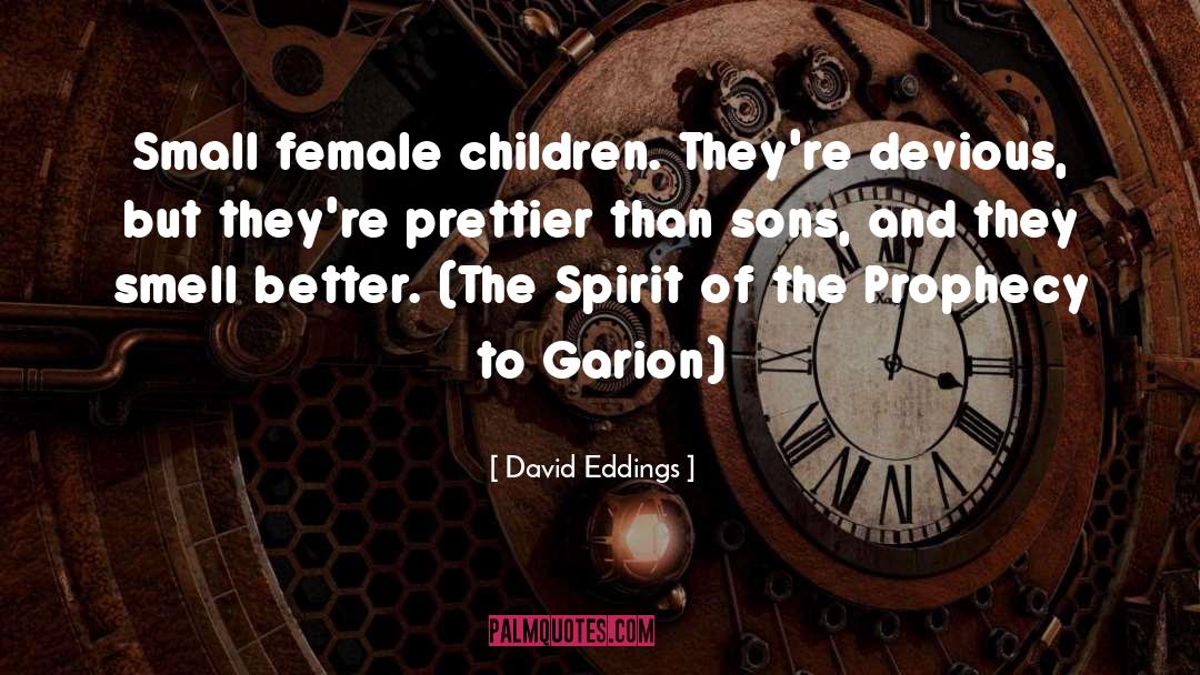 Sons And Mothers quotes by David Eddings