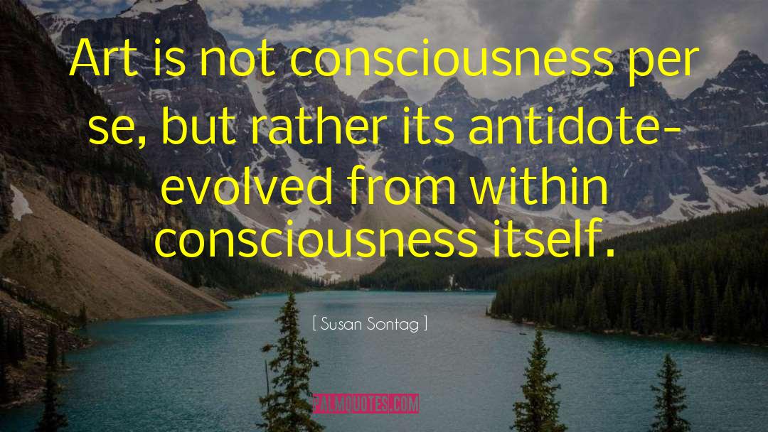 Sontag quotes by Susan Sontag