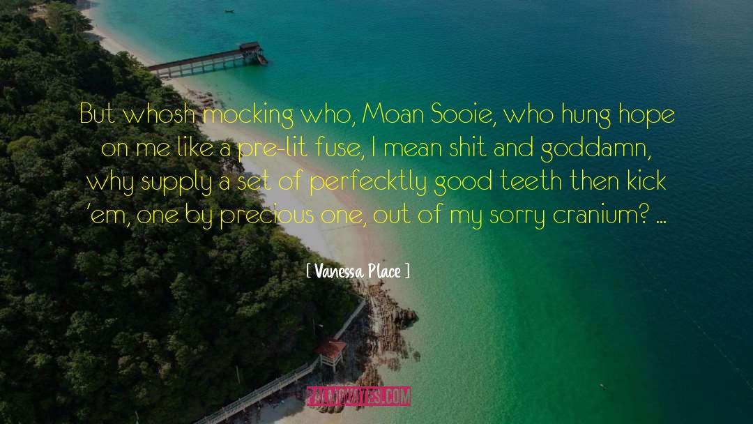 Sooie quotes by Vanessa Place