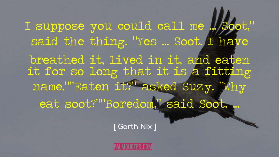 Soot quotes by Garth Nix