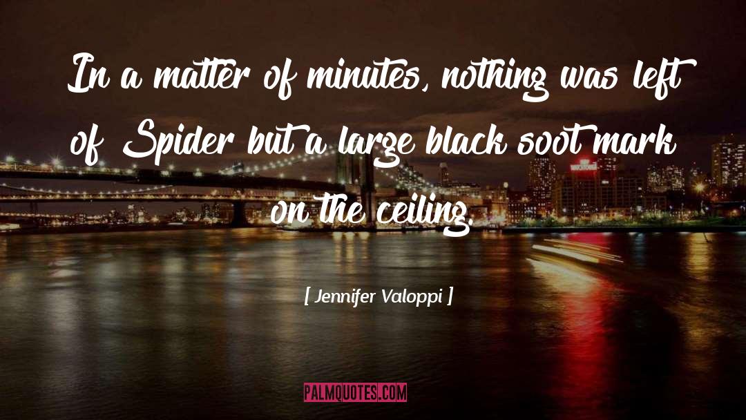 Soot quotes by Jennifer Valoppi