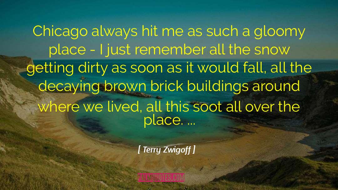 Soot quotes by Terry Zwigoff