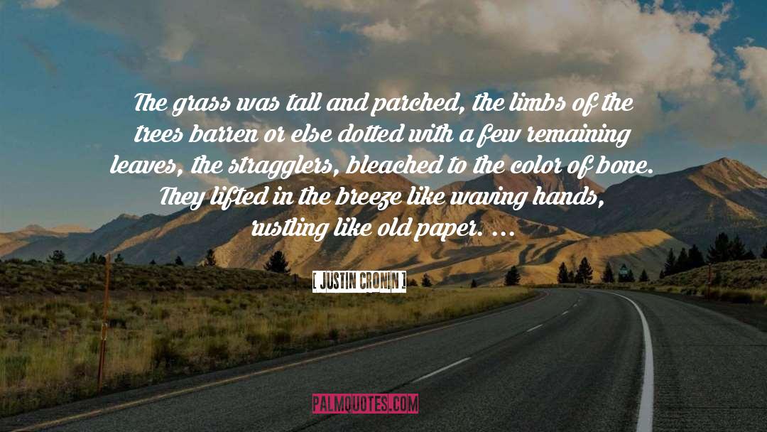 Soothing Breeze quotes by Justin Cronin