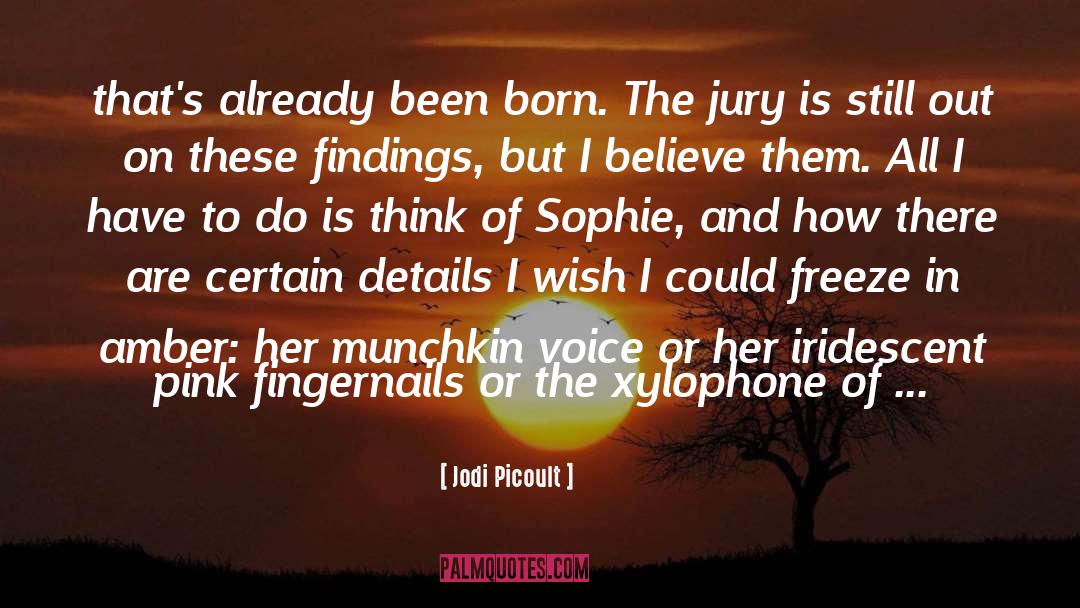 Sophie Gracewell quotes by Jodi Picoult