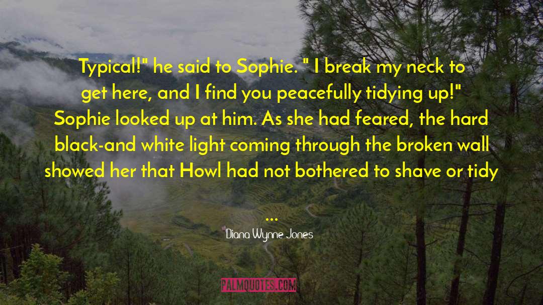 Sophie Todd quotes by Diana Wynne Jones