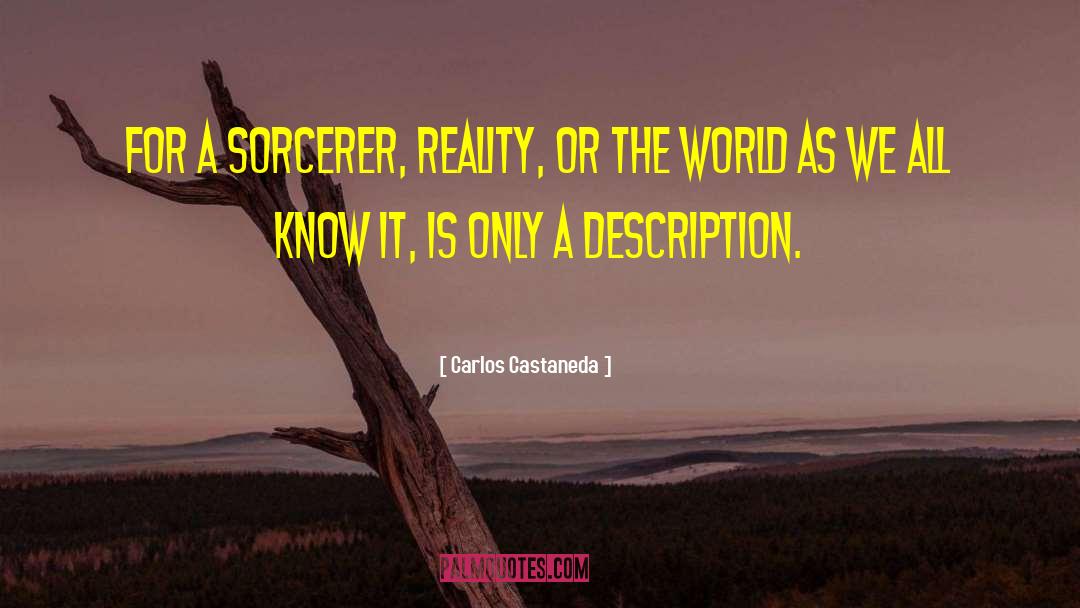 Sorcerer quotes by Carlos Castaneda