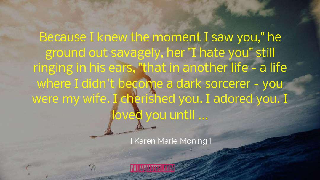 Sorcerer quotes by Karen Marie Moning