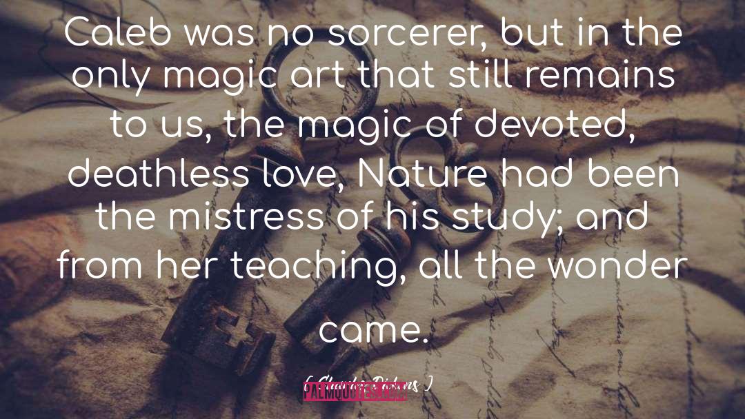 Sorcerer quotes by Charles Dickens