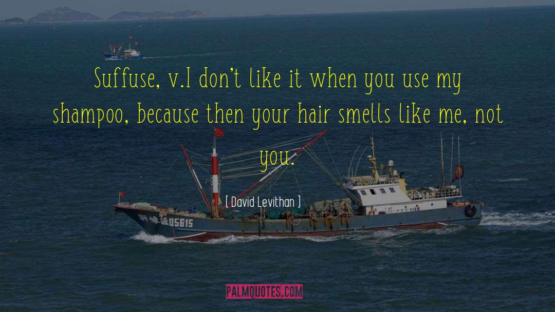 Sorciere Shampoo quotes by David Levithan