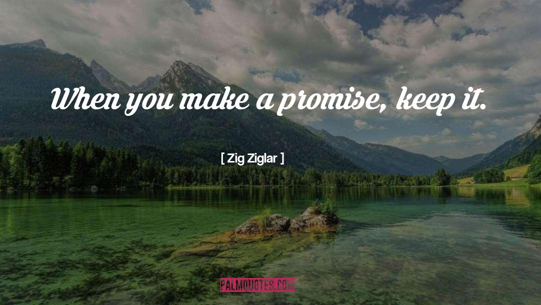Sordid Promise quotes by Zig Ziglar