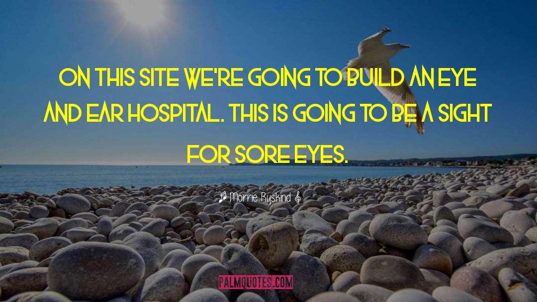 Sore Eyes quotes by Morrie Ryskind